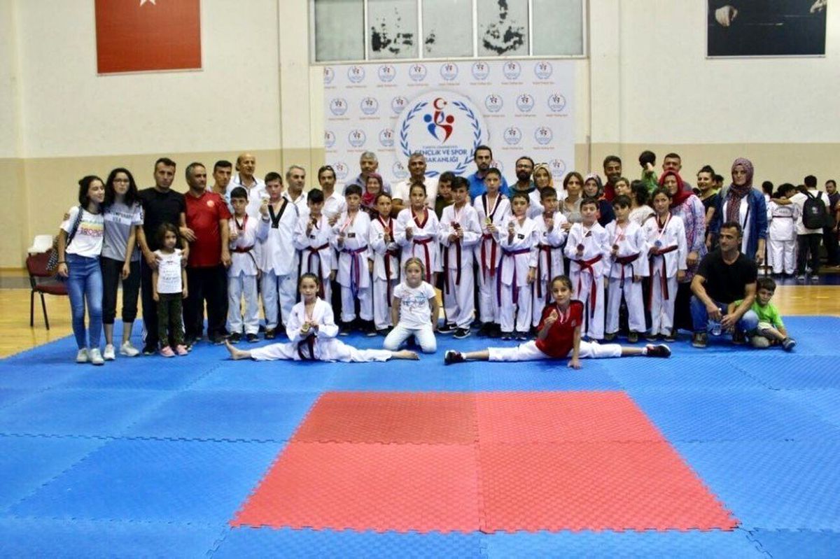 Kdz. Ereğli\'de 6 Taekwondo\'cu milli takım seçmelerine katılacak