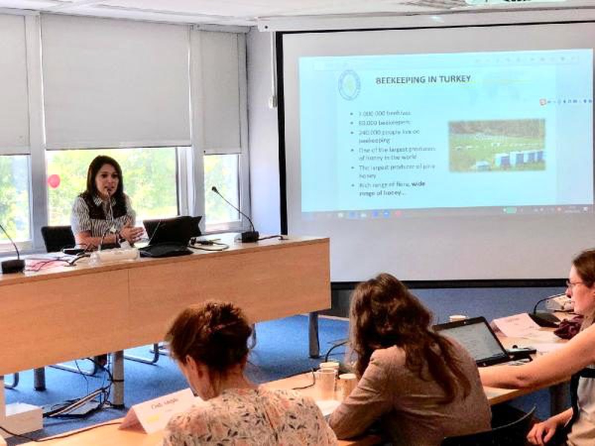 Samancı : Arı ürünlerinin yüzde 95\'inin etiketinde yanlış beyan var