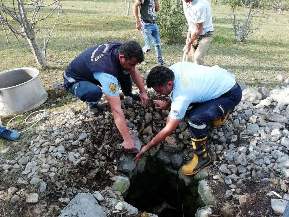 Su kuyusuna düşen inek itfaiye ekiplerince kurtarıldı