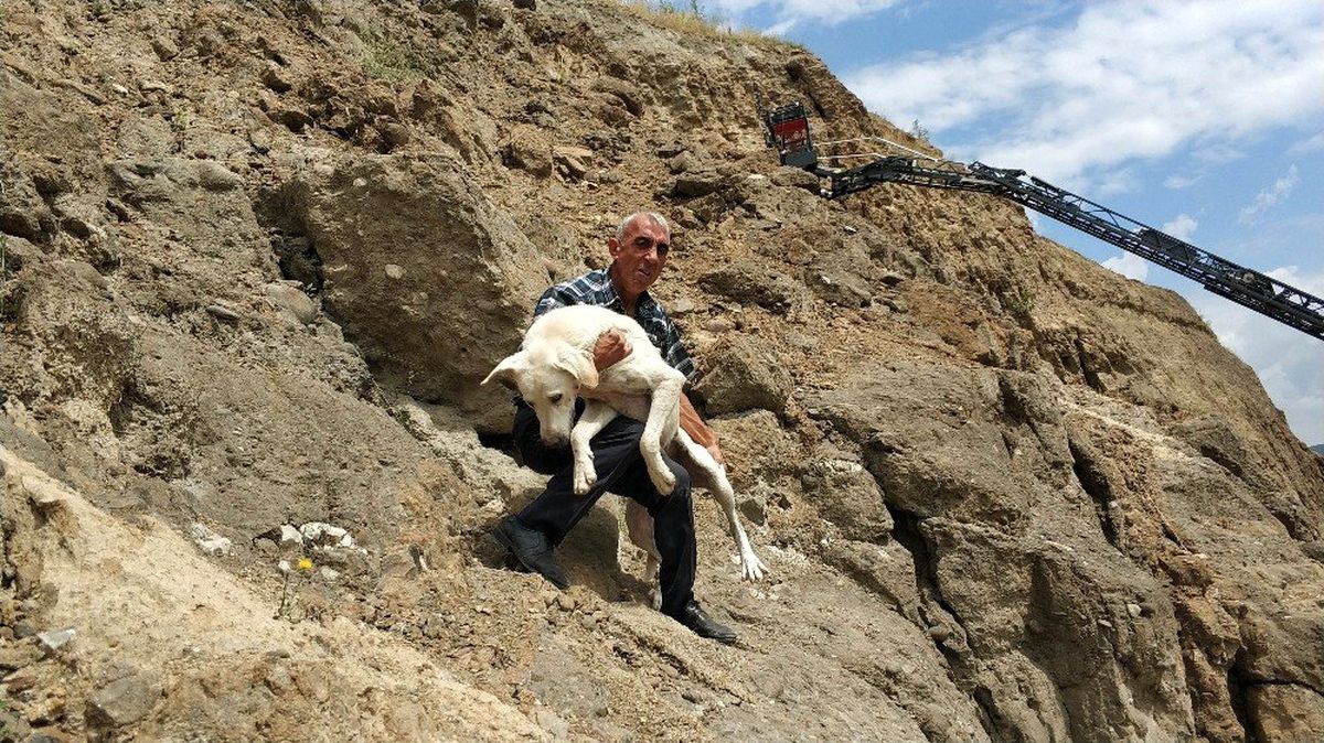 Uçurumda köpek kurtarma operasyonu