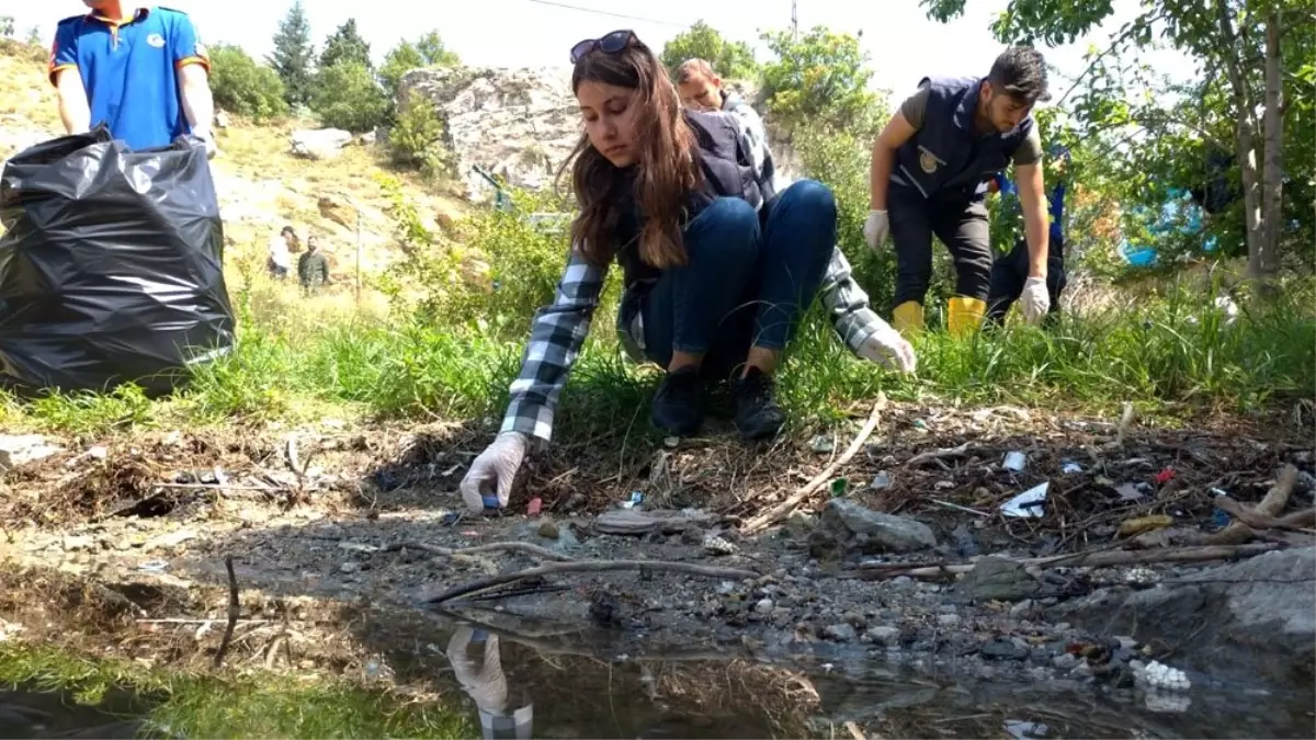 Balık adamlar su altını, gönüllüler kıyıları temizledi