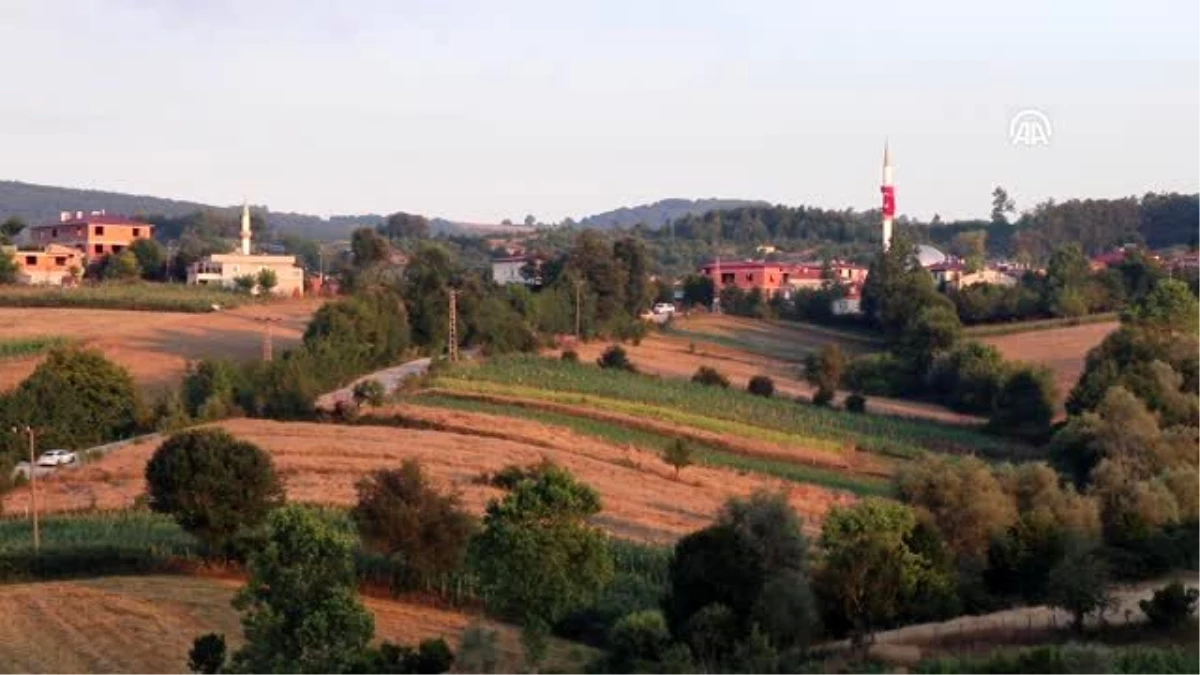 Bitlis\'teki terör saldırısı