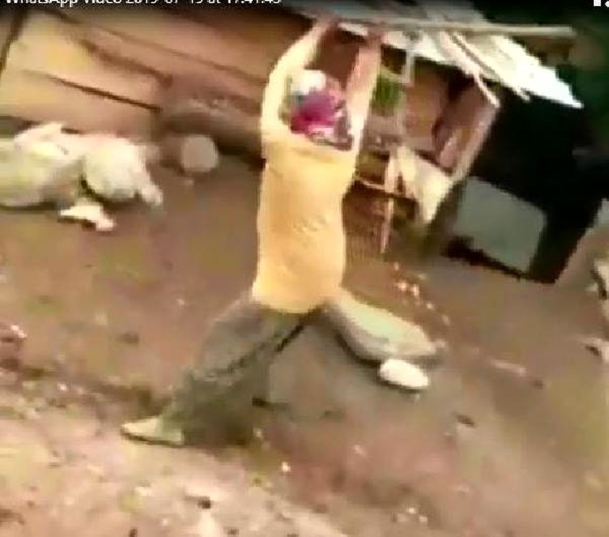 Boğuşan köpekleri kürekle ayırmaya soruşturma