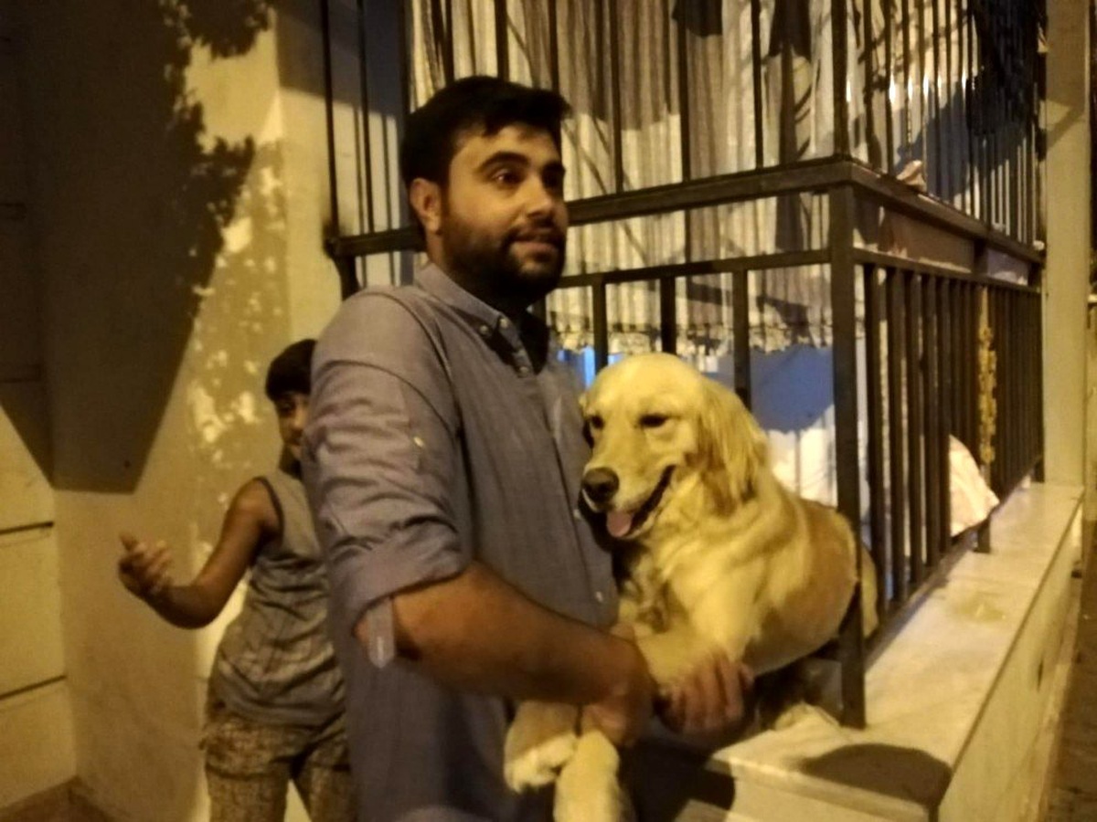 Demir parmaklıklara sıkışan köpek kurtarıldı