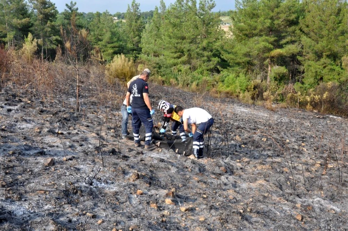 Osmaniye\'de çıkan orman yangınında bir kişi yanarak öldü