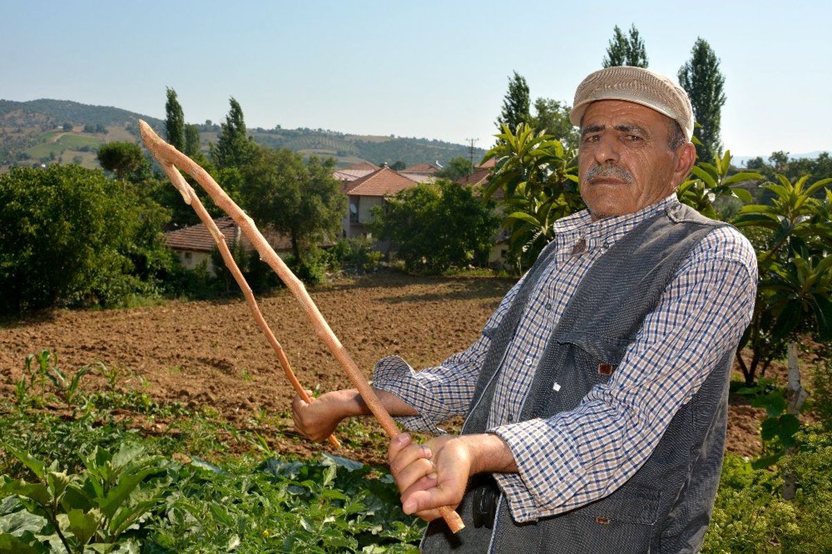(Özel) Bir dut dalıyla tarlaları suya kavuşturuyor
