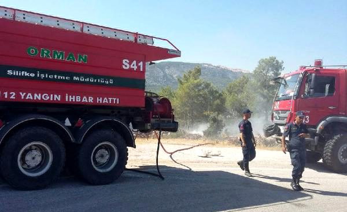 Piknikçiçelirn mangal ateşinden yangın çıktı