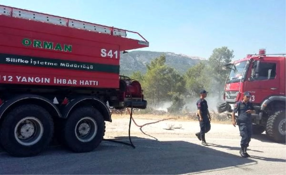 Piknikçilerin mangal ateşinden yangın çıktı