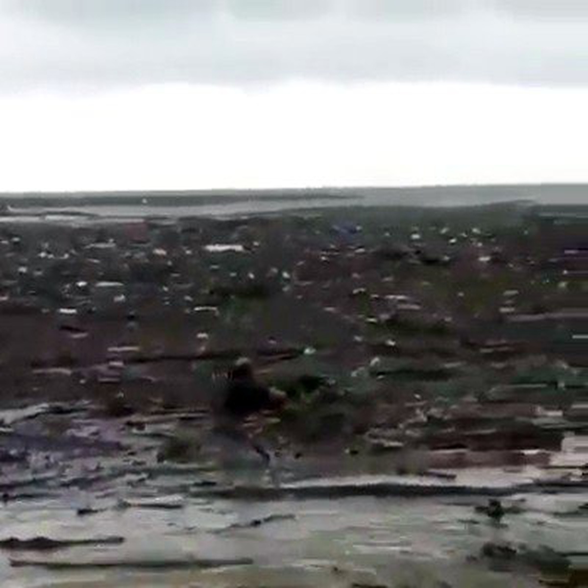 Sele kapılan köpeği vatandaş yüzerek kurtardı