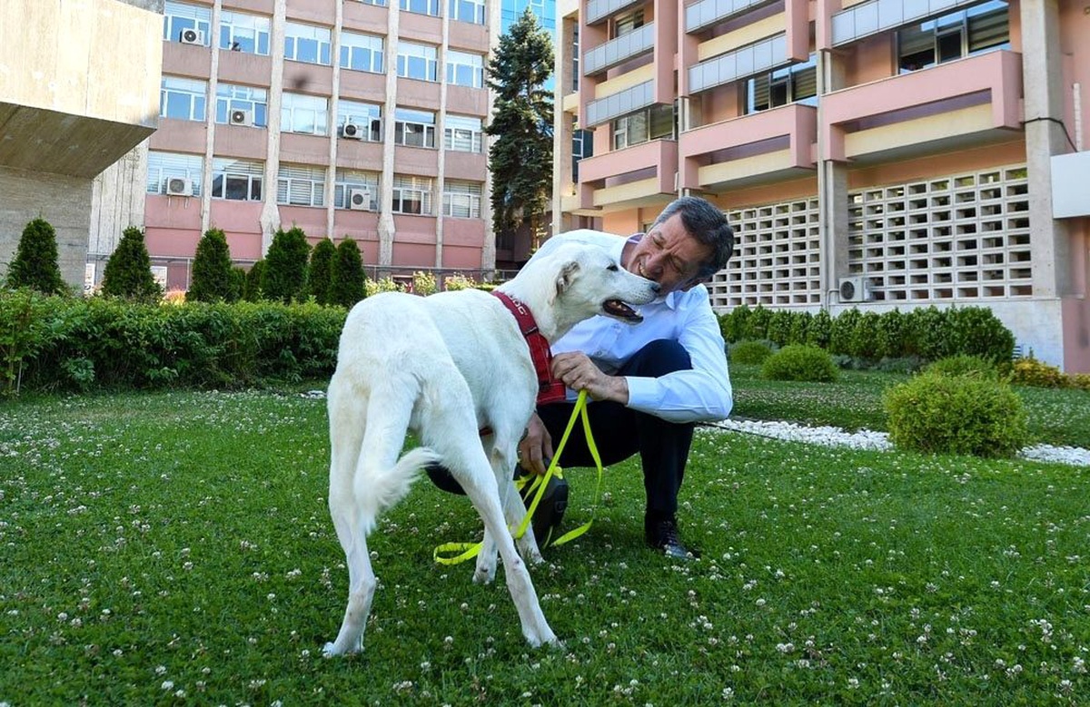 Bakan Selçuk o tepkilere cevap verdi