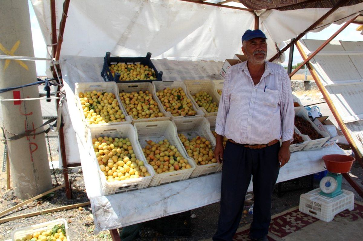Çiftçiler kayısılarını satabilmek için güneşin altında ter döküyor
