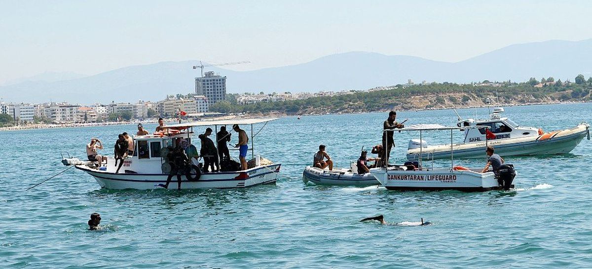 Didim\'de deniz dip temizliği