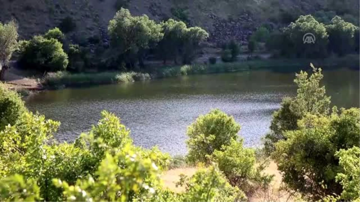 Huzuru Köyde Bulanlar - Emeklilik hayatını çocukluk anılarını süsleyen göle adadı