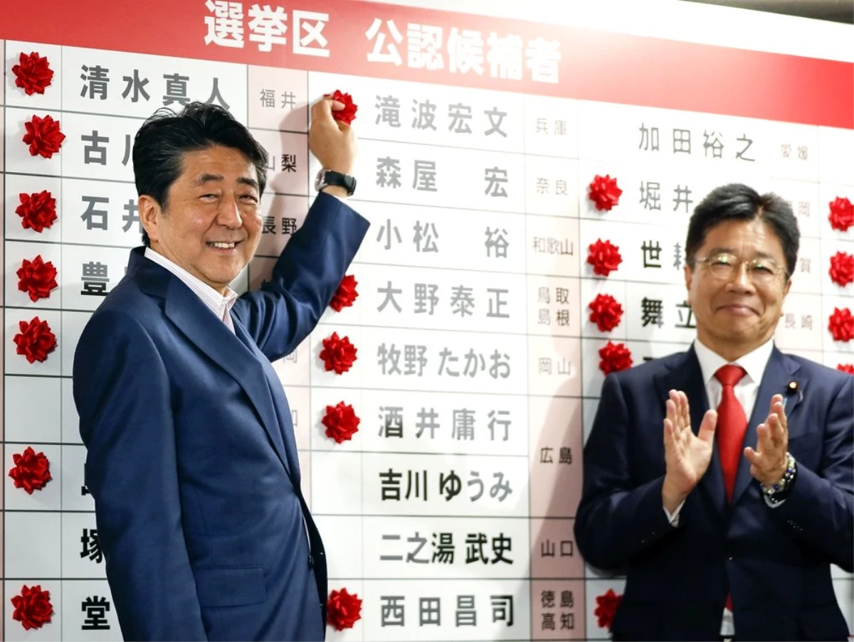 Japonya\'da üst meclis seçimlerini Abe kazandı