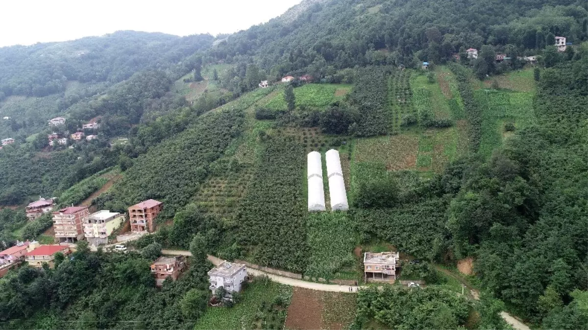 Karadeniz insanını zorluklar hiç yıldırmıyor