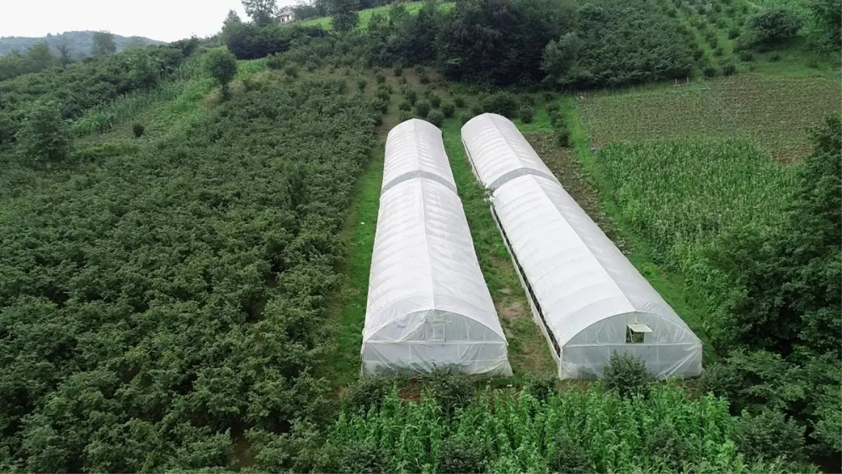 Karadeniz insanını zorluklar hiç yıldırmıyor