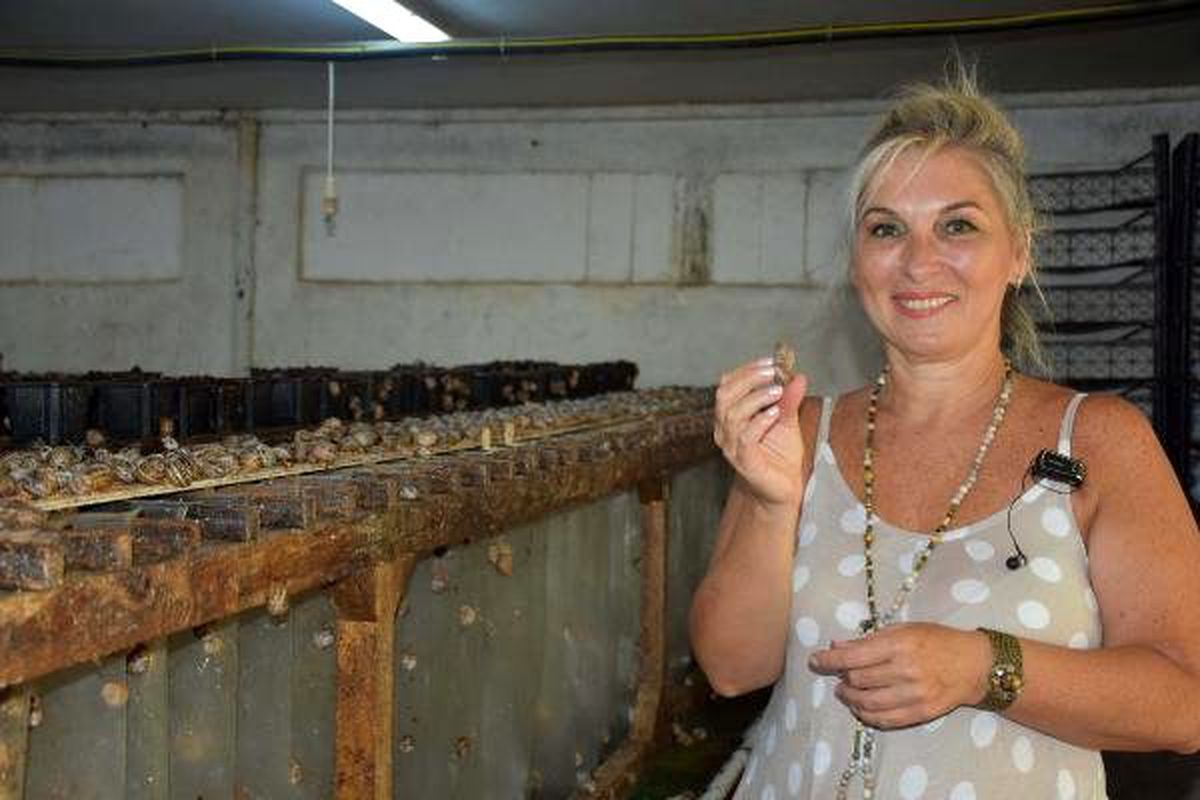 Mermer ihraç eden kadın girişimci, salyangoz çiftliği kurdu