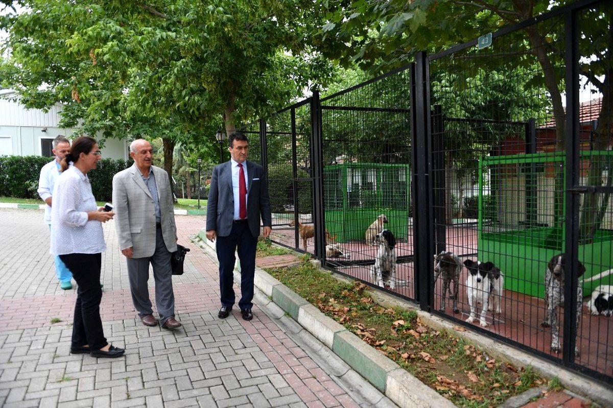 Prof. Dr. Aygül\'den hayvan barınağına övgü