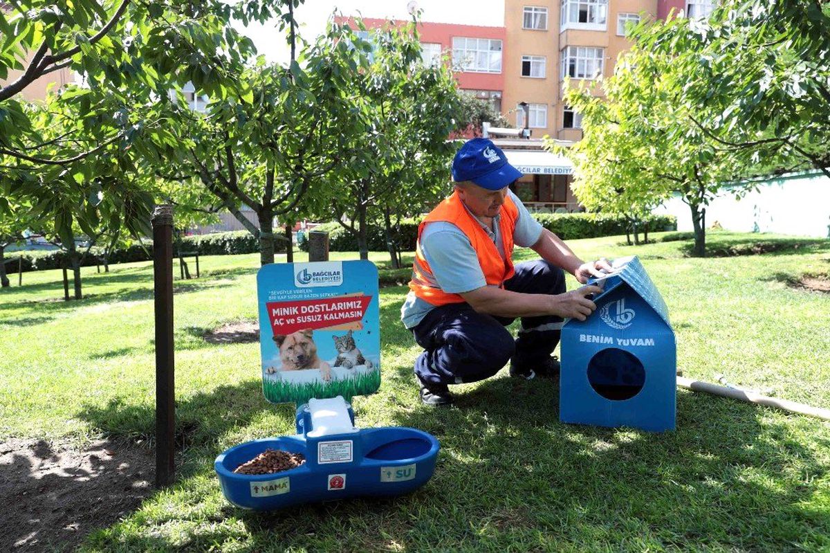 Sıcaktan bunalan sokak hayvanları için su ve mama hizmeti