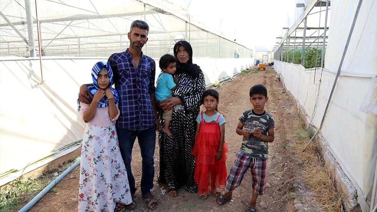 Türkiye gelir dağılımı eşitsizliğinde Avrupa ikincisi: Nüfusun yüzde 20\'si kazancın yarısını alıyor