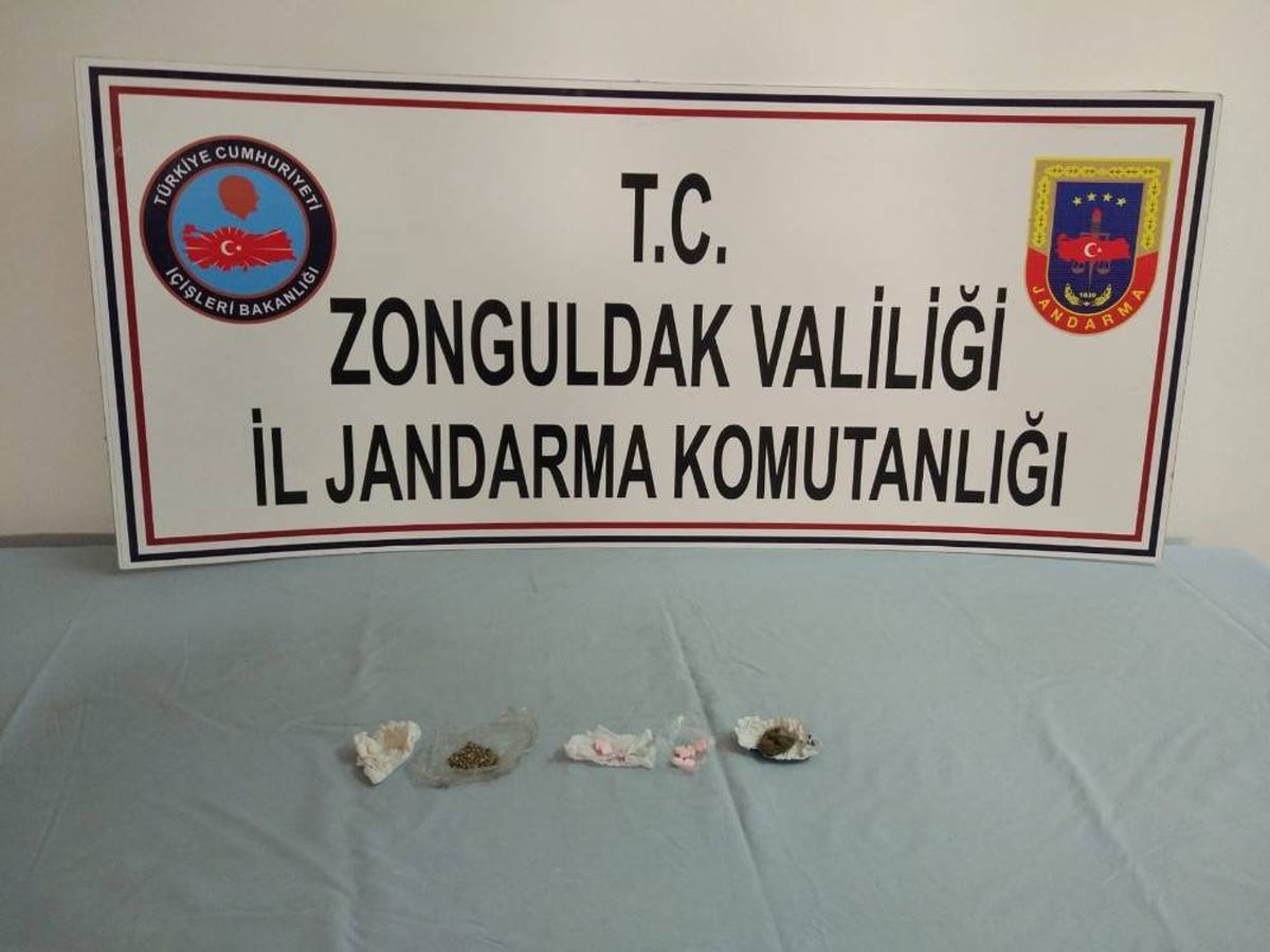 Alaplı\'da skunk ele geçirildi