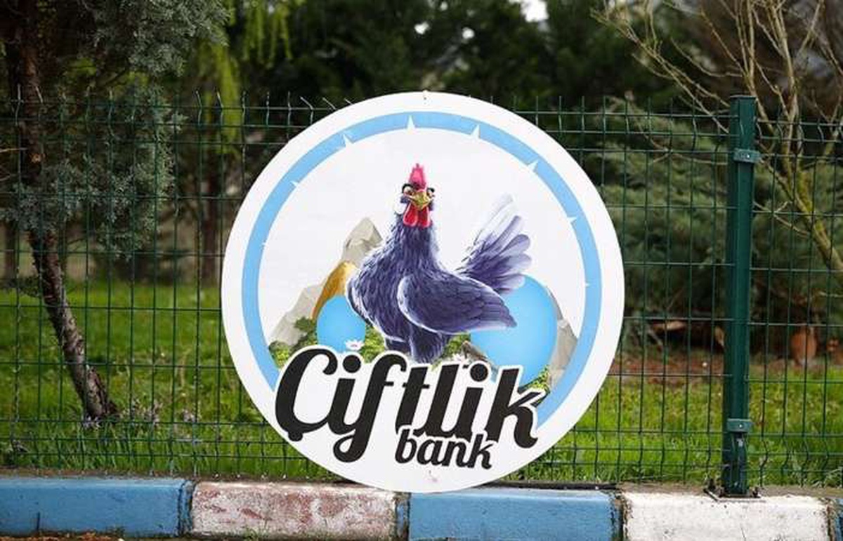 \'Çiftlik Bank\' davasında Mehmet Aydın\'ın eşi ifade verdi