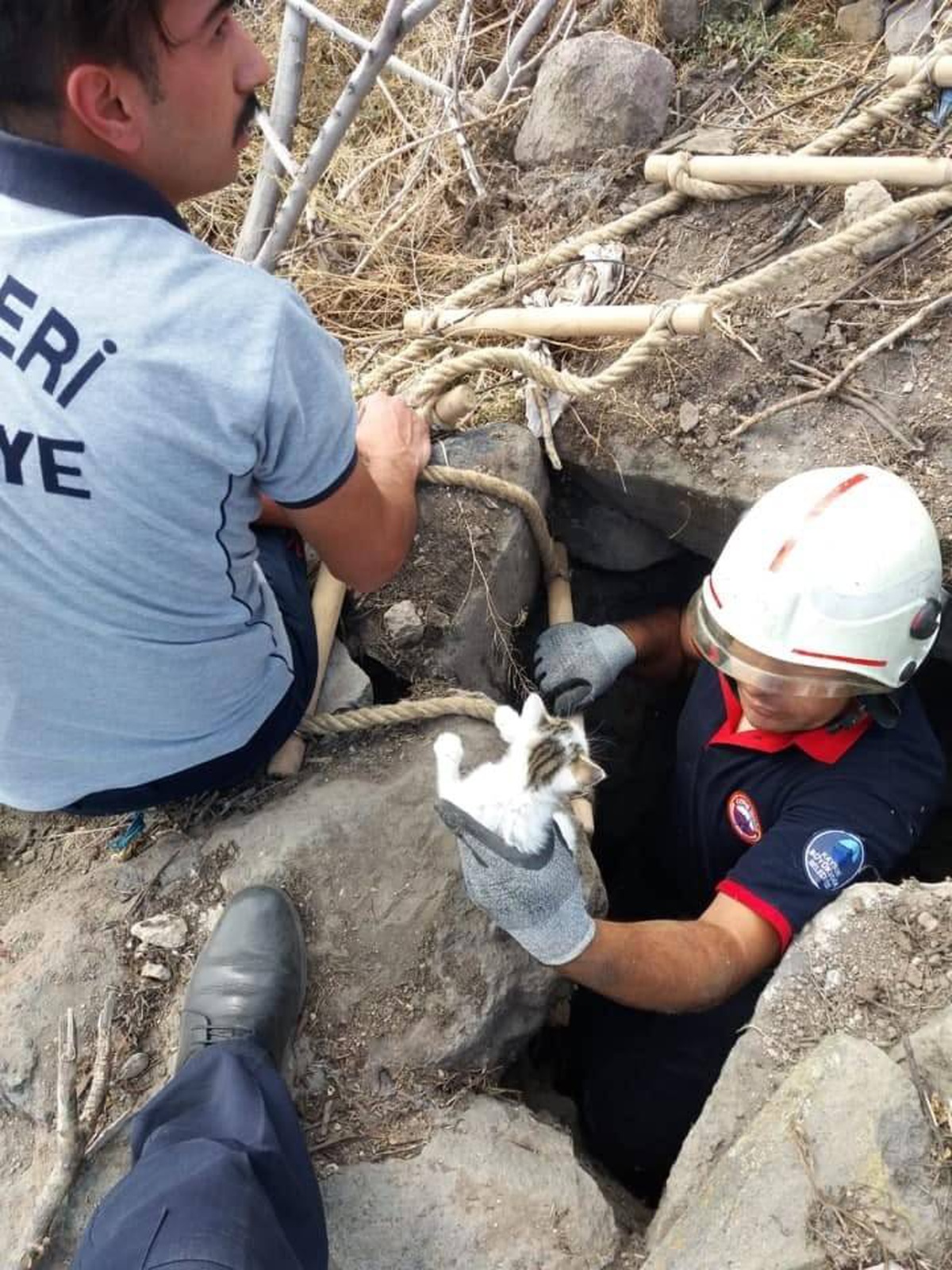 Çukura düşen yavru kediyi itfaiye kurtardı