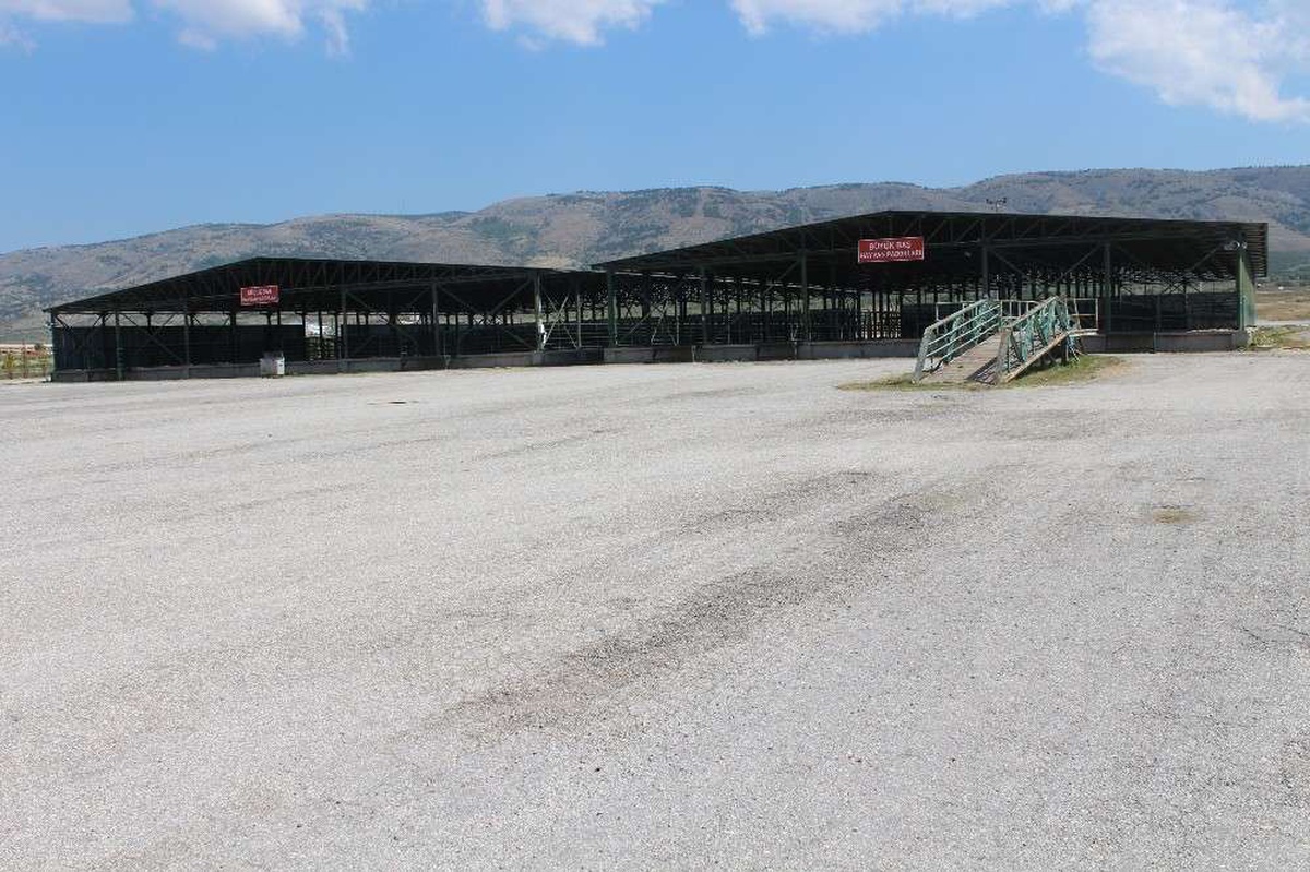Kurban pazarı 27 Temmuz\'da açılıyor