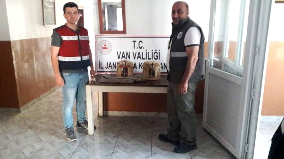 Muradiye ilçesinde kaçak avlanmış 2 keklik ele geçirlidi