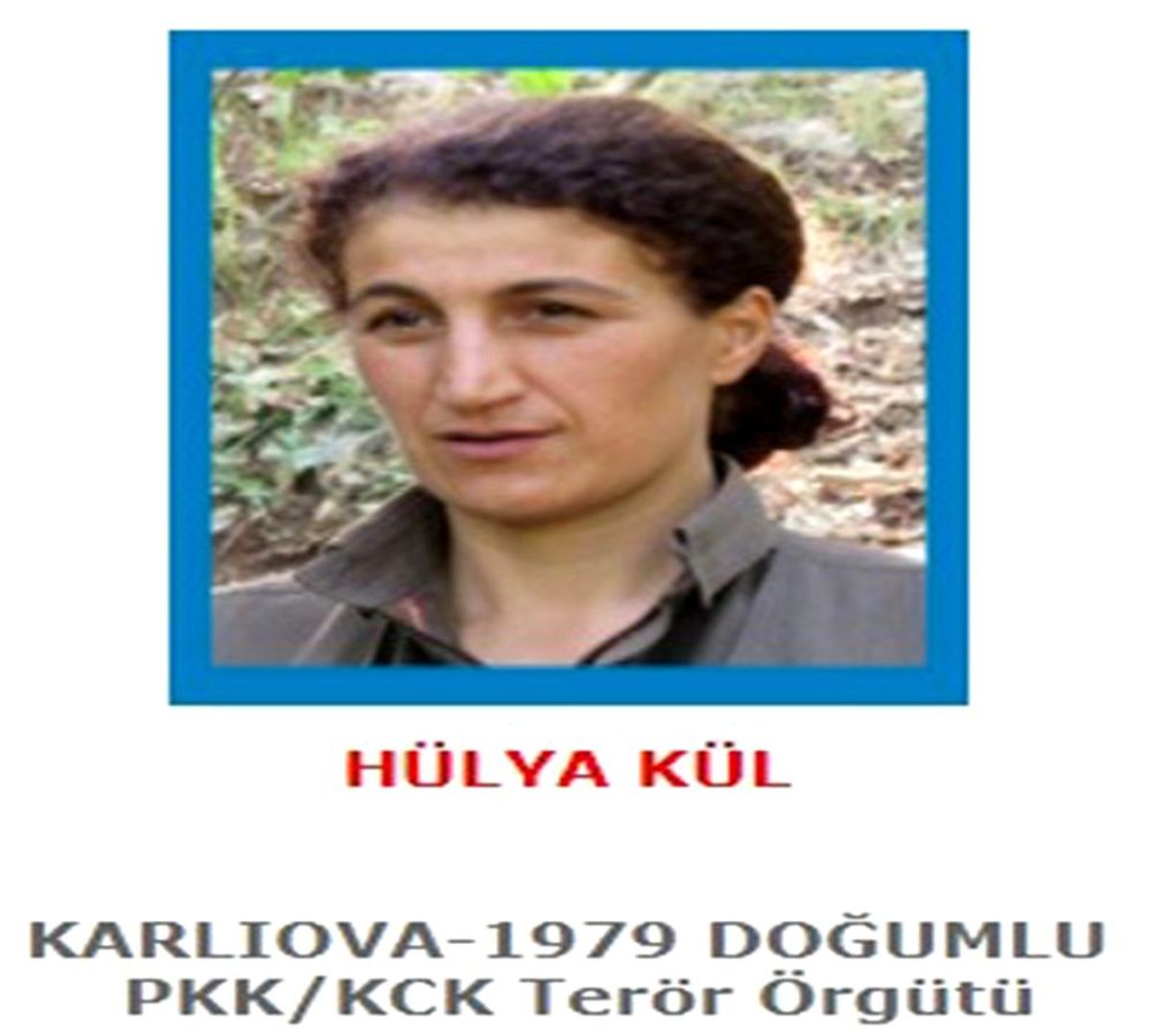 Terör örgütü PKK\'ya büyük darbe