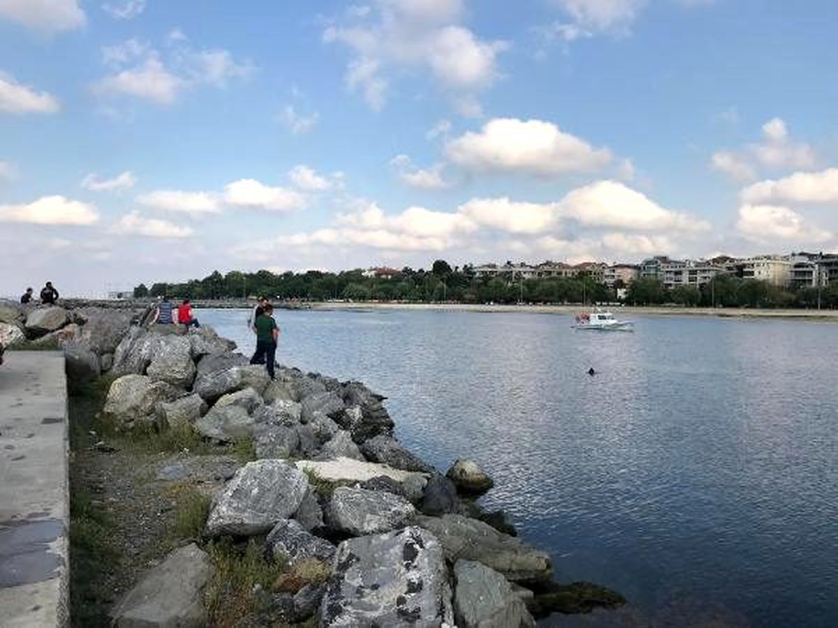 Yeşilköy\'de denize girdikten sonra kaybolan genç aranıyor