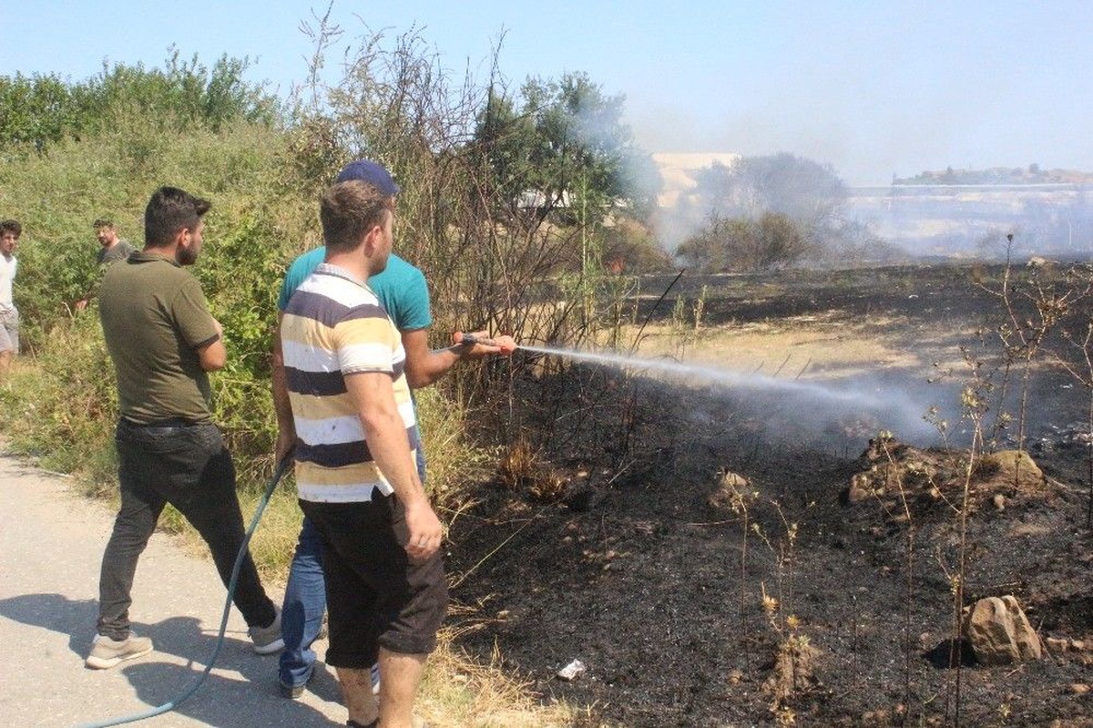 Antalya\'da çıkan yangında 20 dönüm zarar gördü