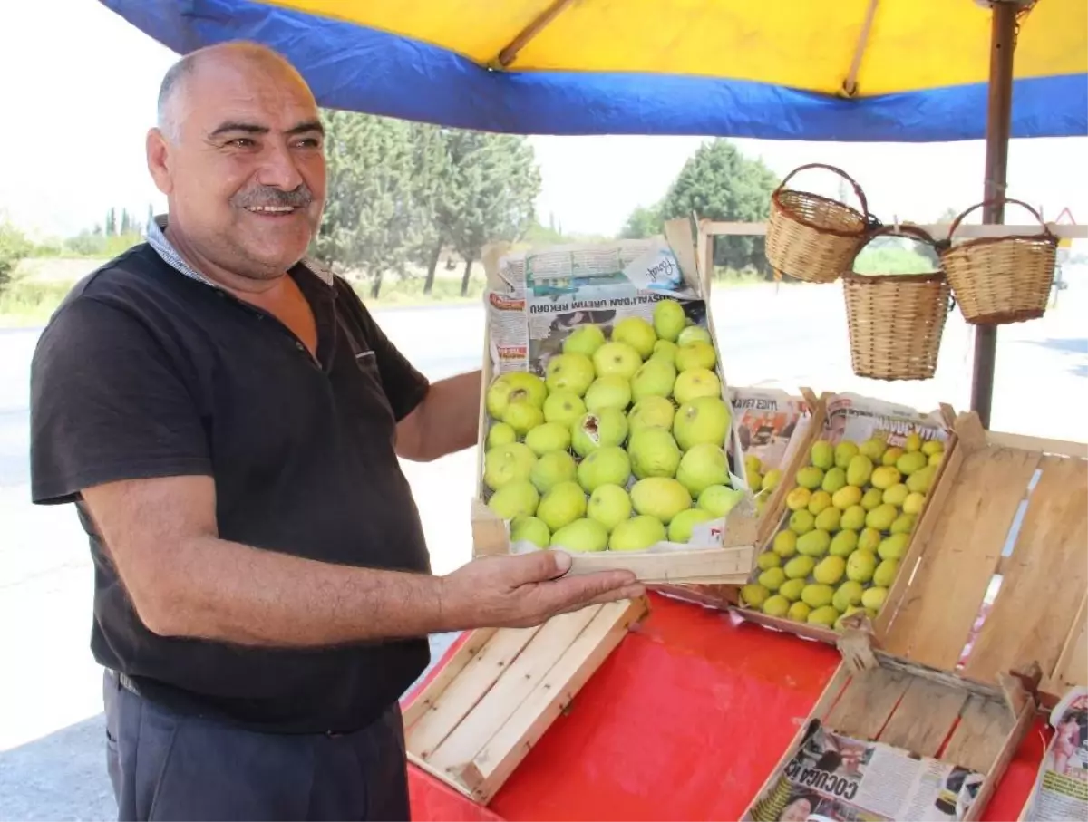 Aydın inciri tezgahlarda yerini aldı