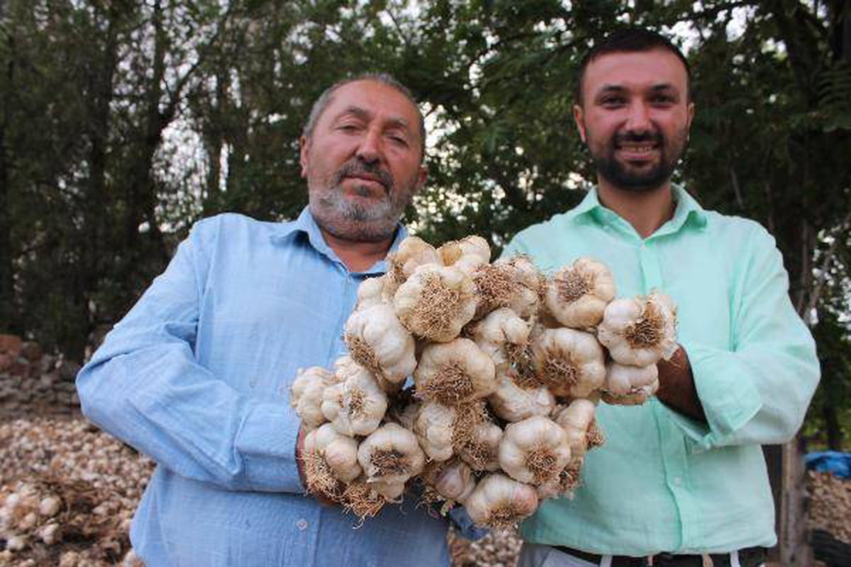Bilgisayar mühendisinden 3 ülkeye sarımsak ihracatı