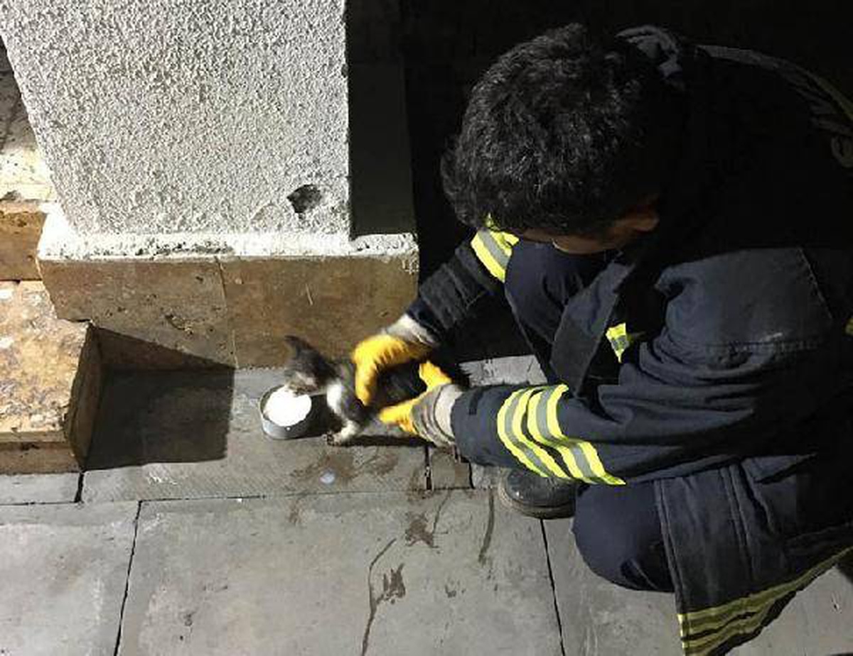 Boruya sıkışan yavru kediyi itfaiye kurtardı