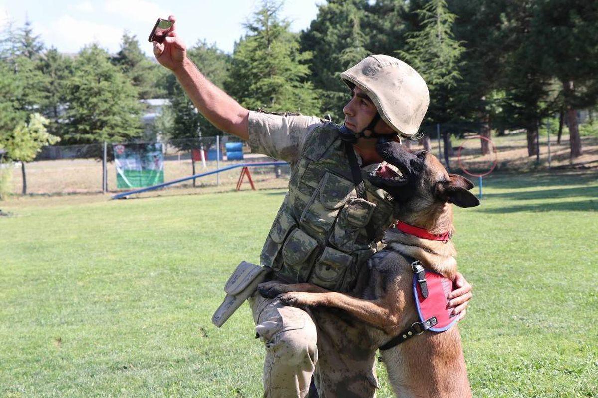 Bu köpekler selfie çekiniyor, kalp masajı yapıyor