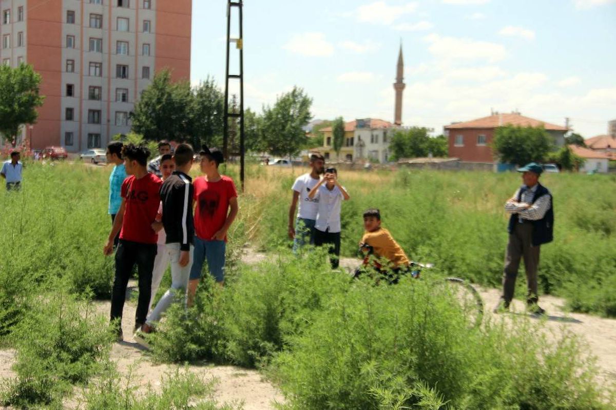 İşlerini güçlerini bıraktılar, intihar girişimini izlemeye koştular