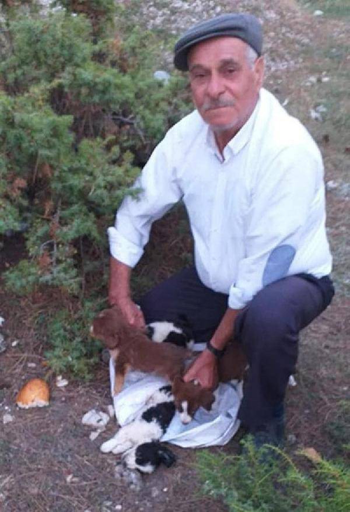 Köpek yavrularını çuvala koyup ölüme terk ettiler