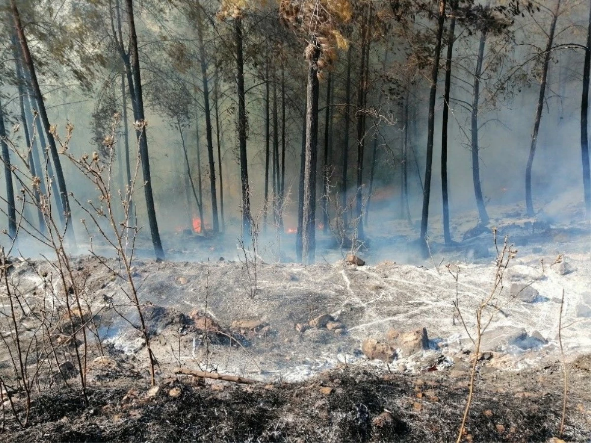 Kumluca\'daki orman yangını söndürüldü