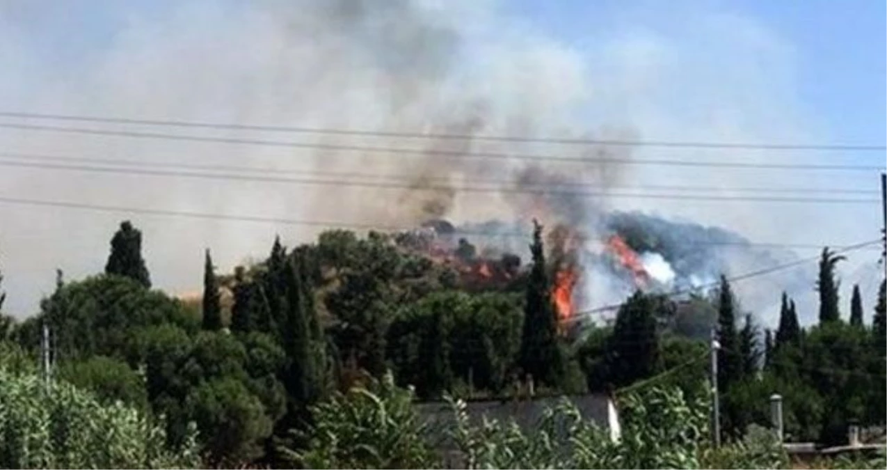 Manisa\'da korkutan orman yangını