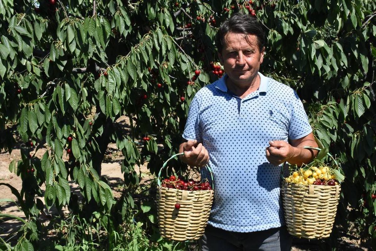 (Özel) Emekli oldu, seracılık okudu, bahçe kurdu