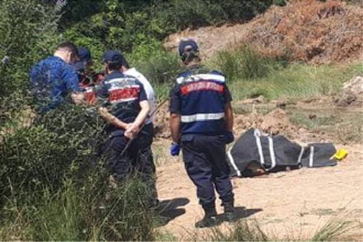 Tarlasında silahla vurulmuş olarak ölü bulundu