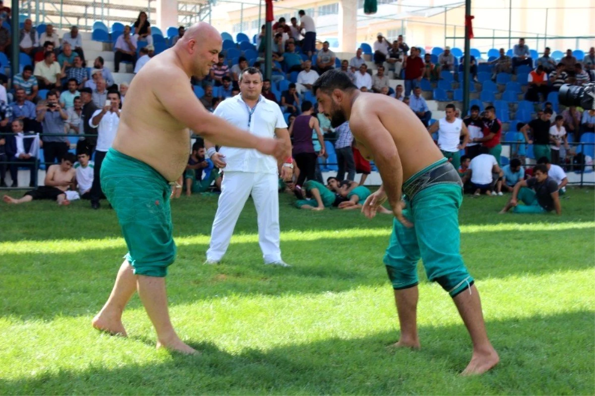 Darende Güreş Festivaline hazırlanıyor