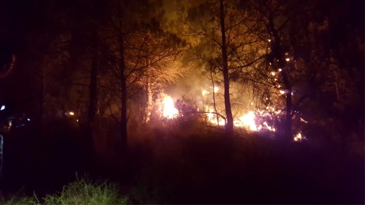 Manavgat\'ta çıkan iki ayrı yangında, 2 hektarlık alan zarar gördü