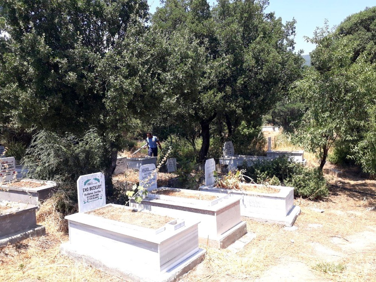 Mezarlıkta çıkan yangın korkuttu