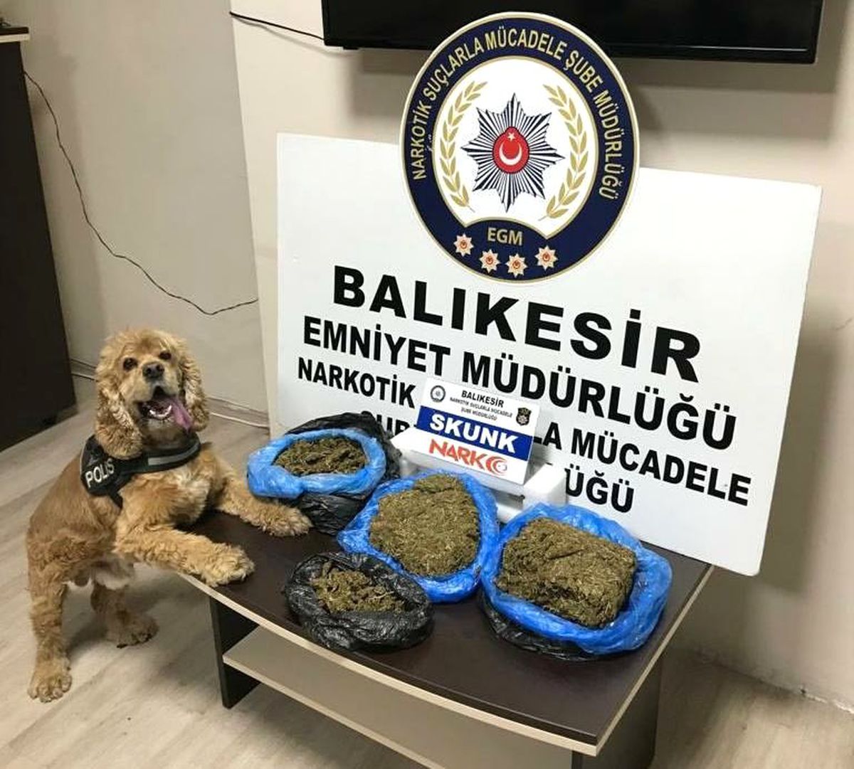 Narkotik köpeğinden kaçamadılar