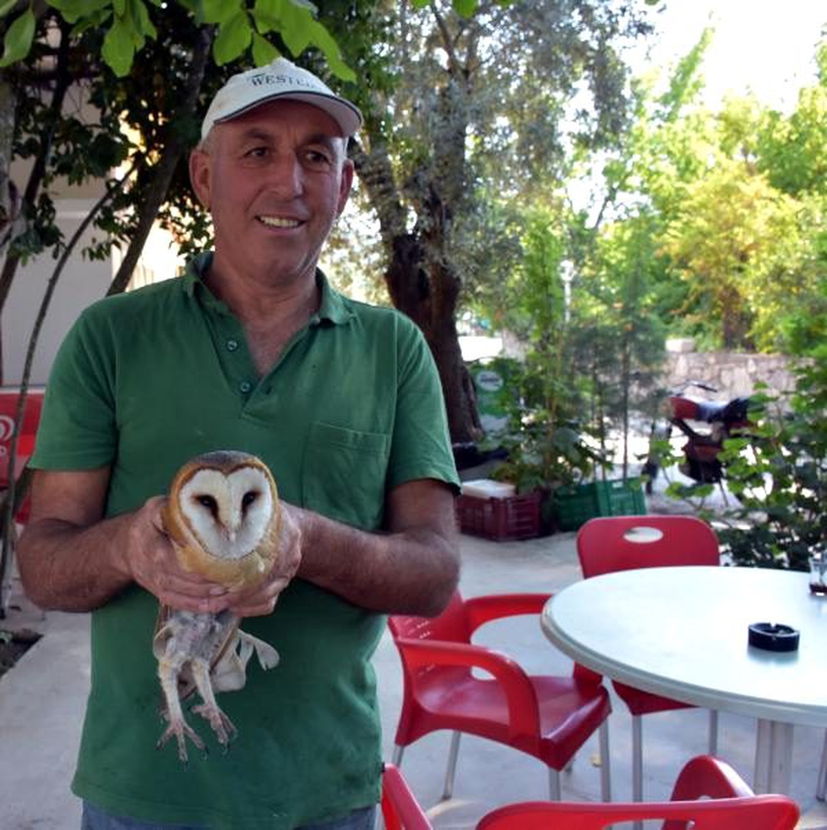 Çalılıklara takılan peçeli baykuşu kurtarıp, doğaya bıraktı