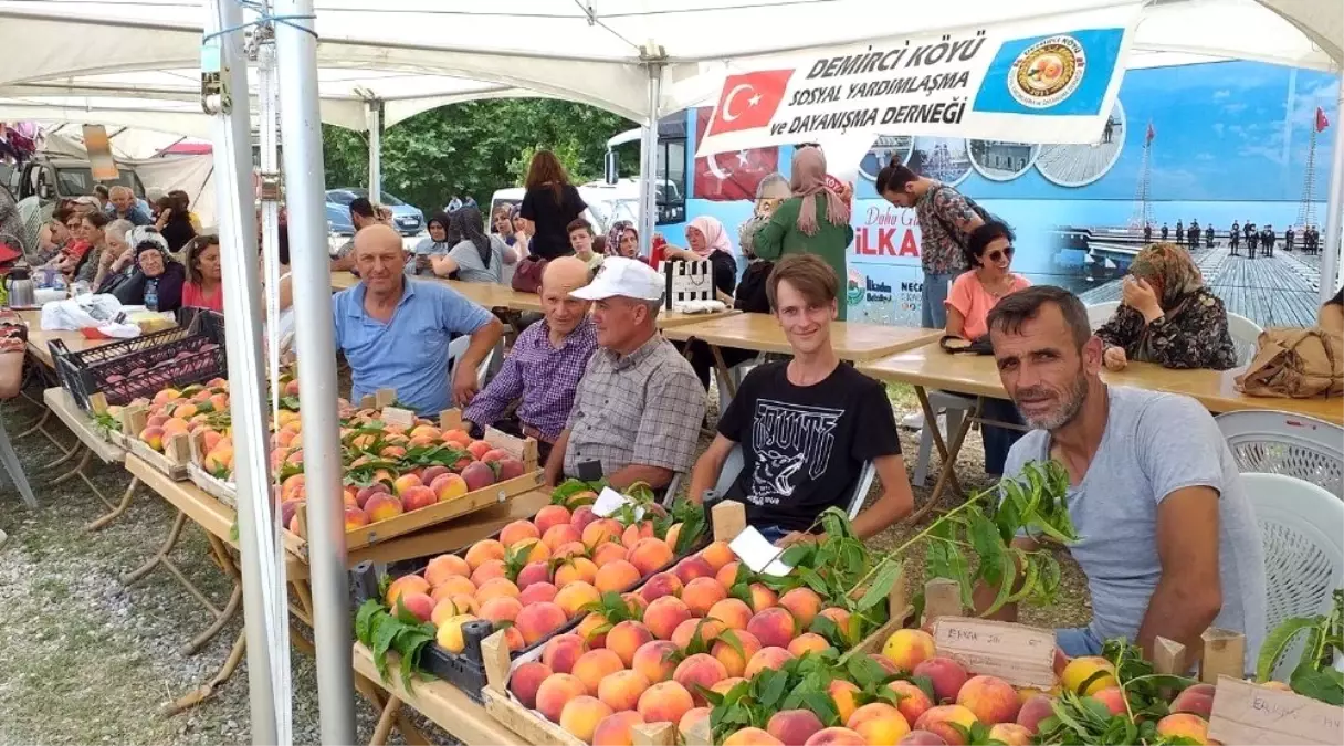 Demiciköy\'de Şeftali Festivali