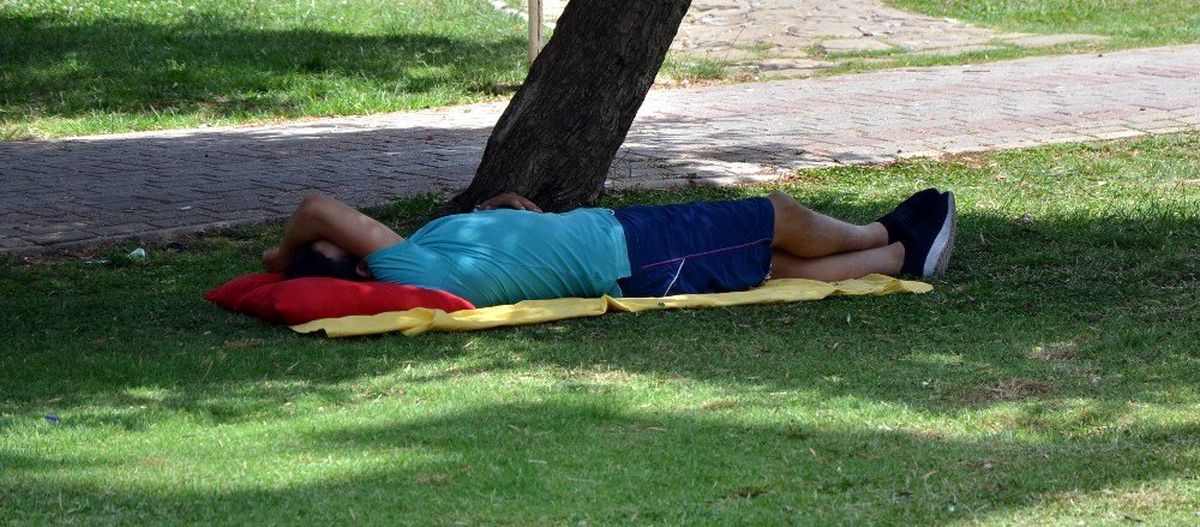 Doğu\'da hava sıcaklığı mevsim normallerinde seyredecek