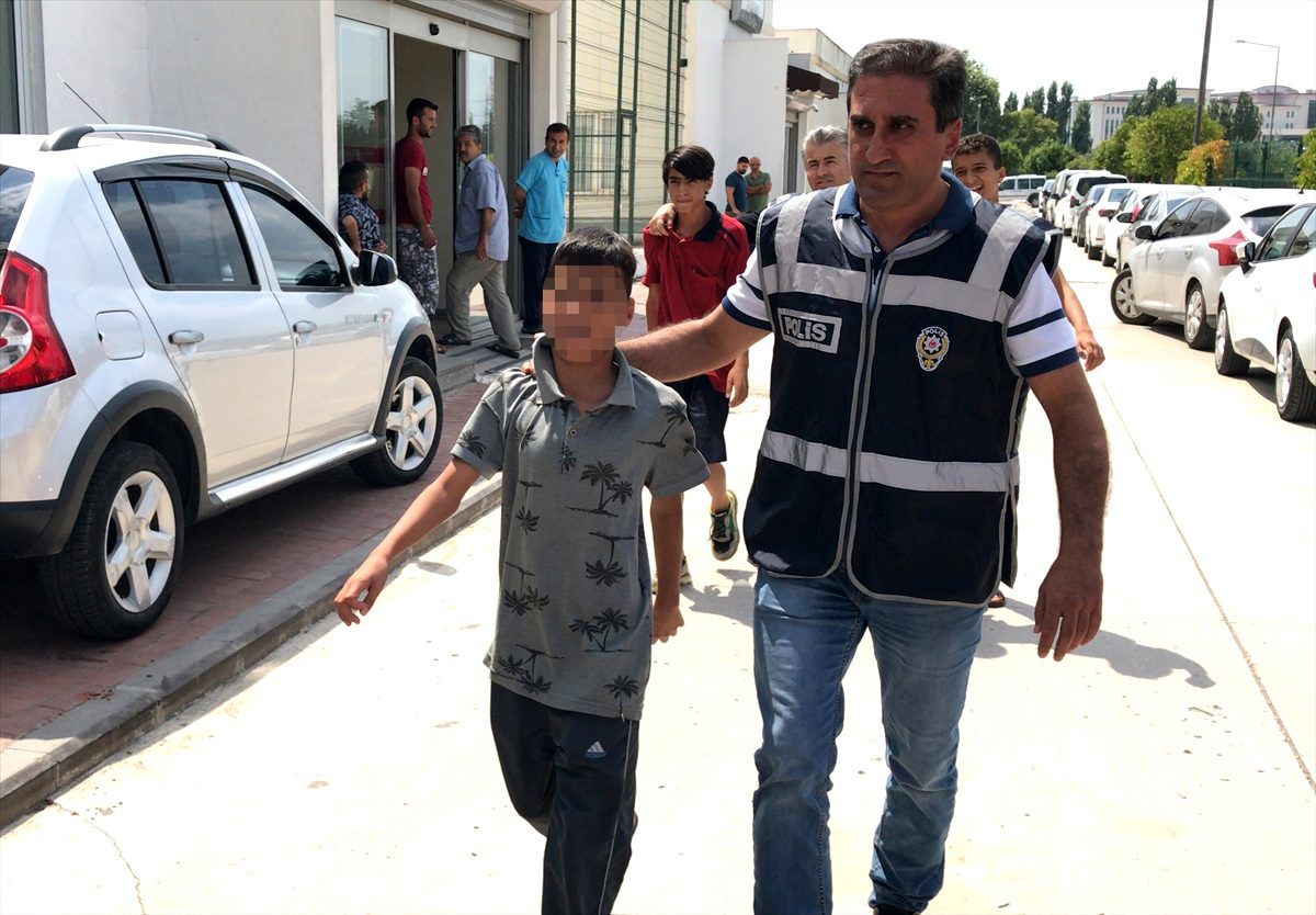 Gebe kedinin pitbullun önüne atılıp parçalatılması